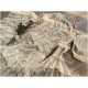 Red Maria Butterfly Shadows Blouse and Underskirt(Reservation/Full Payment Without Shipping)